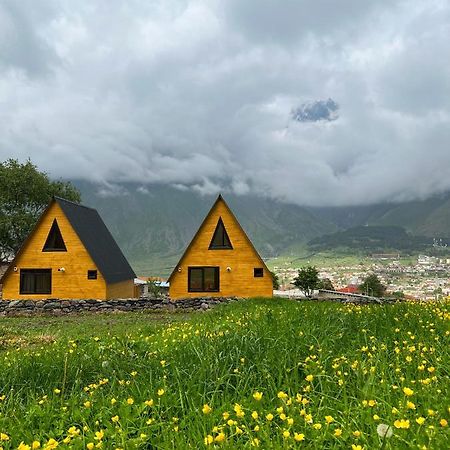 Pine Chalet Kazbegi المظهر الخارجي الصورة