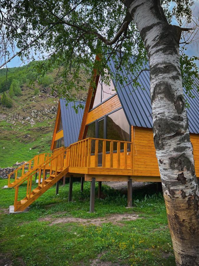 Pine Chalet Kazbegi المظهر الخارجي الصورة