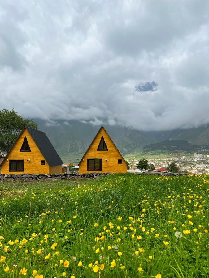 Pine Chalet Kazbegi المظهر الخارجي الصورة