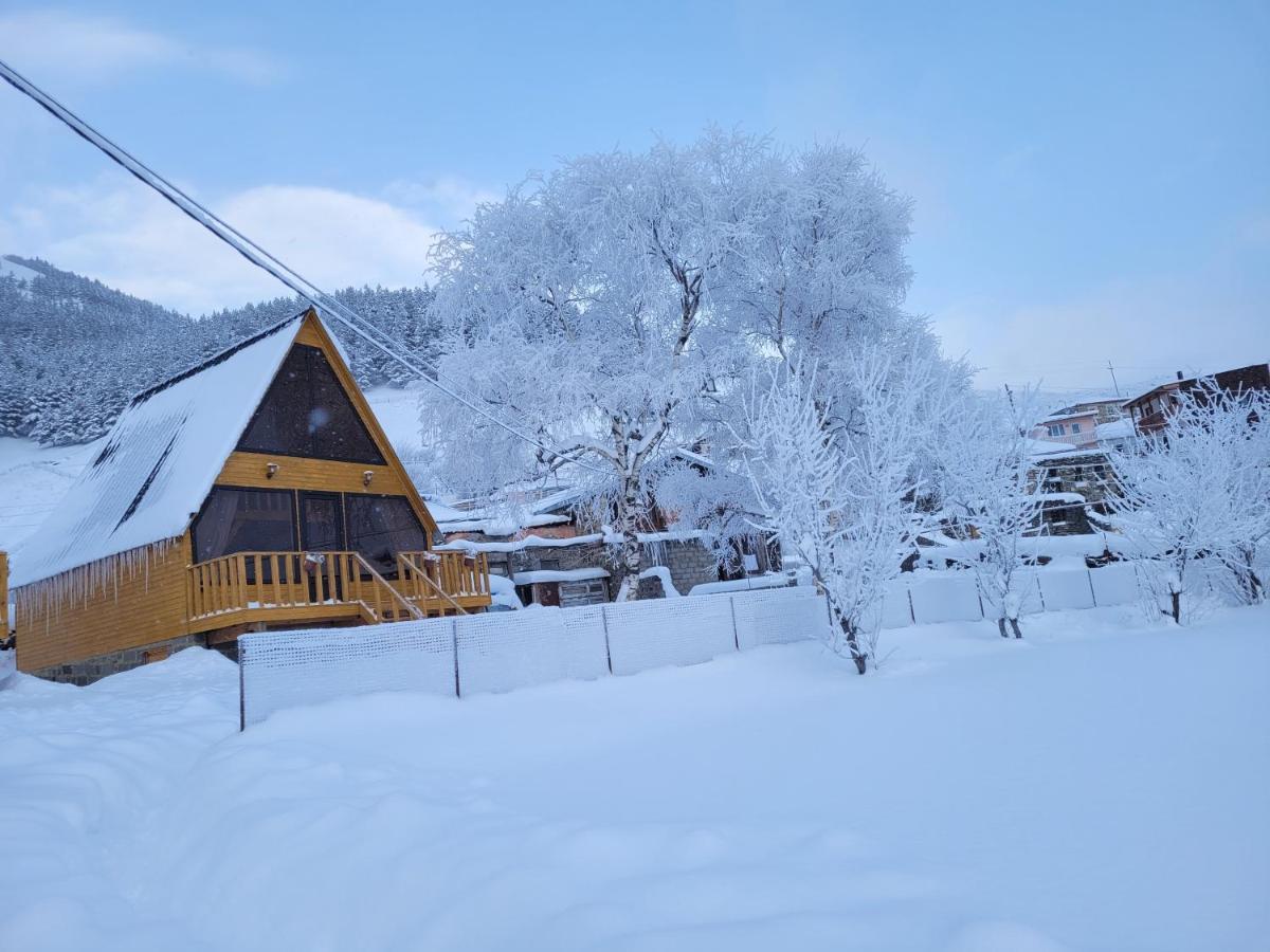 Pine Chalet Kazbegi المظهر الخارجي الصورة