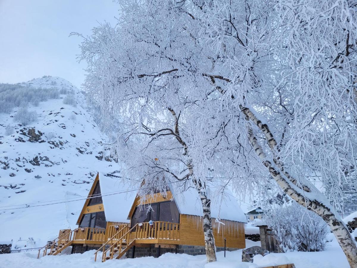 Pine Chalet Kazbegi المظهر الخارجي الصورة