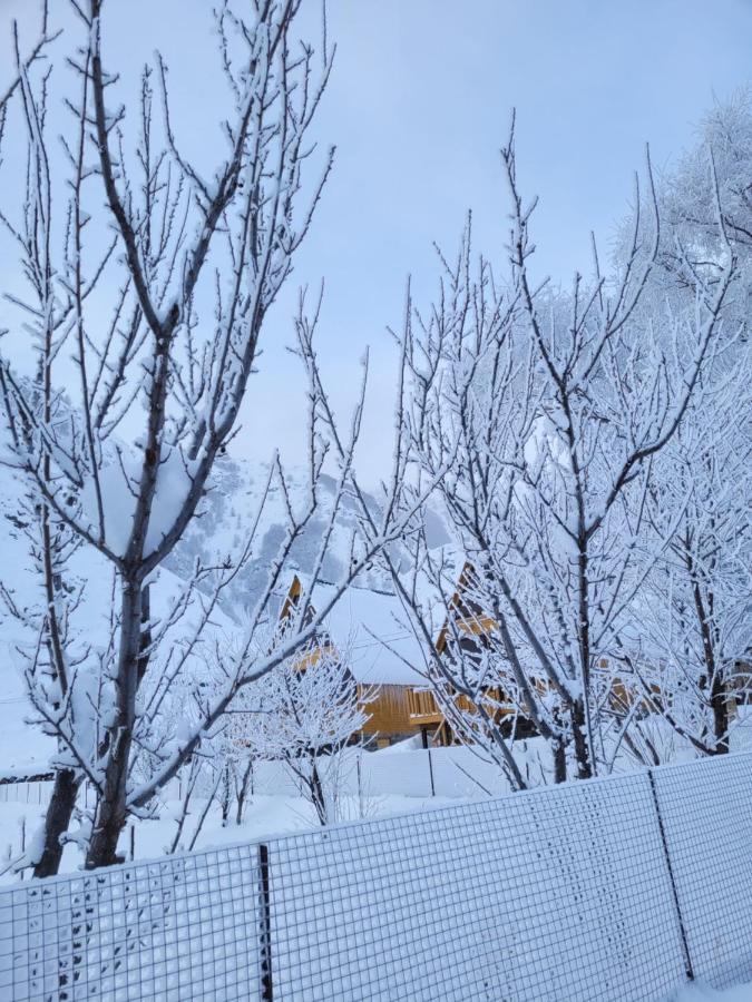 Pine Chalet Kazbegi المظهر الخارجي الصورة