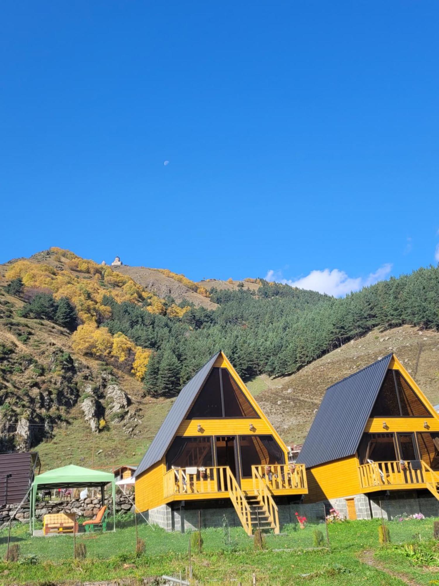 Pine Chalet Kazbegi المظهر الخارجي الصورة